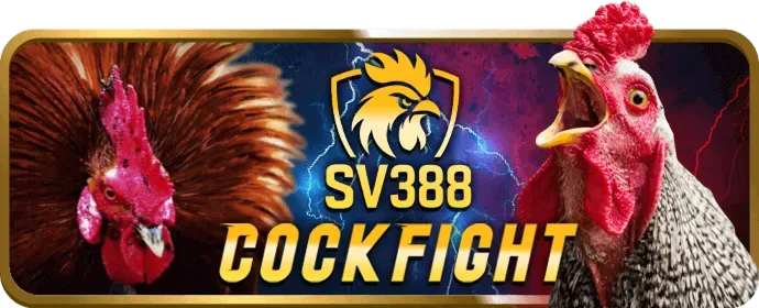 Cá cược bóng đá Wyn88