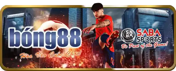 Cá cược quần vợt Wyn88